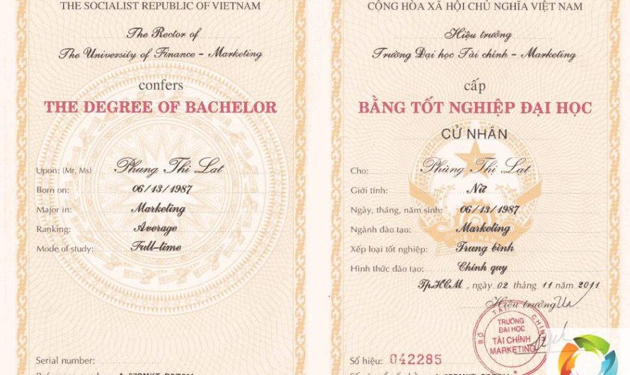 Bằng đại học ngành Marketing học mấy năm? Giải đáp chi tiết cho mọi hệ đào tạo