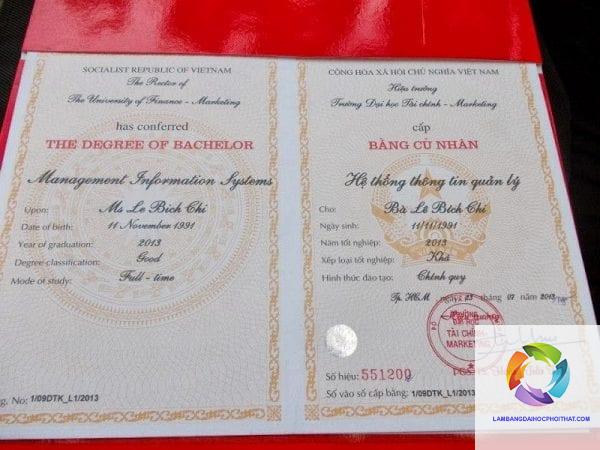 Bằng đại học ngành marketing xin việc ở đâu? Cơ hội việc làm và lộ trình chi tiết cho sinh viên mới ra trường