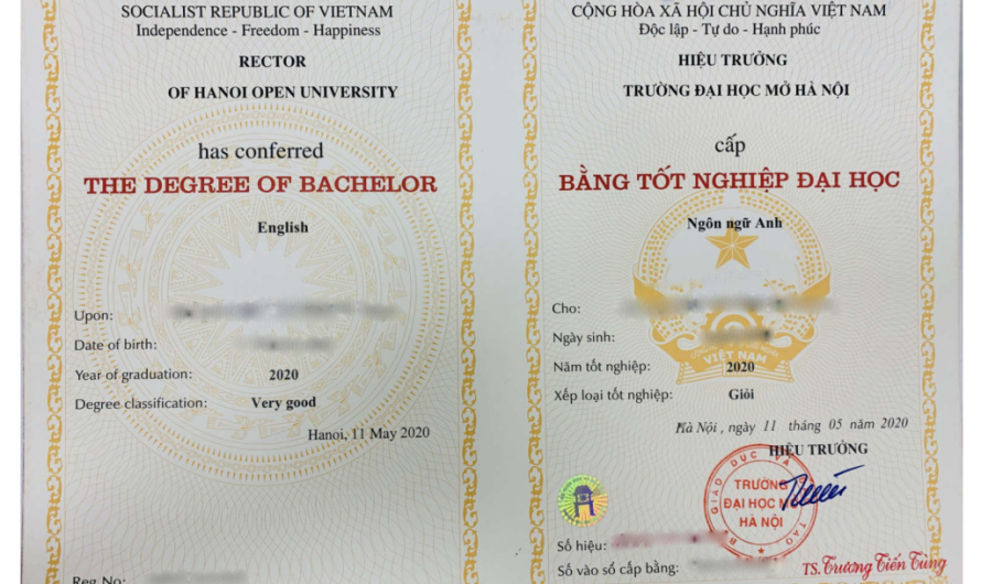 Bằng đại học ngôn ngữ anh làm công ty nước ngoài được không? Cơ hội và thực tế