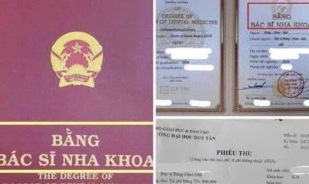 bằng đại học răng hàm mặt là gì