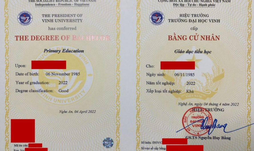 Bằng đại học sư phạm tiểu học dạy trường công được không? Giải đáp chi tiết từ A-Z