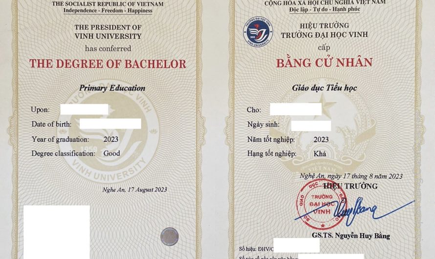Bằng đại học sư phạm tiểu học là gì? Giải mã tấm bằng và cơ hội nghề nghiệp
