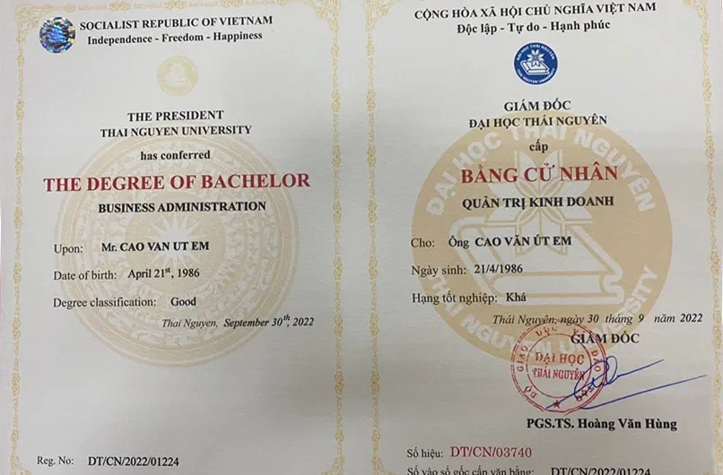 Bằng đại học thương mại điện tử có giá trị gì? Phân tích toàn diện từ cơ hội việc làm đến mức lương thực tế