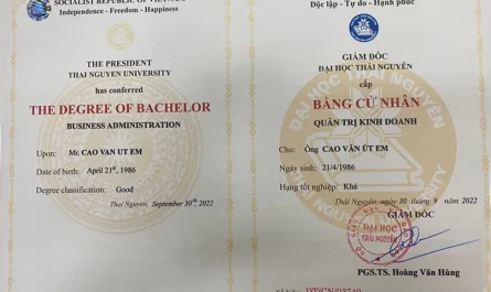 bằng đại học thương mại điện tử là gì
