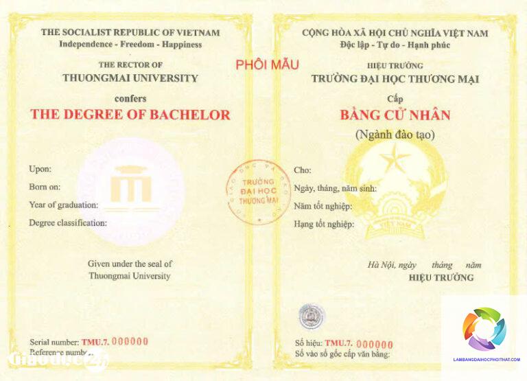 bằng đại học thương mại điện tử làm digital marketing được không