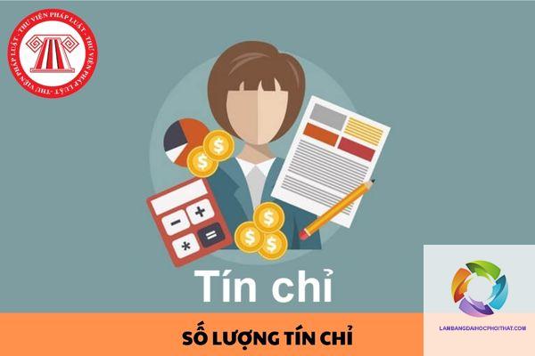 Bao nhiêu tín chỉ được tốt nghiệp đại học? Giải đáp chi tiết cho mọi hệ đào tạo