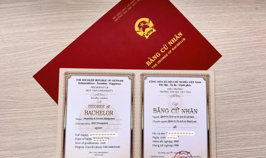 Cấu trúc bằng đại học: Toàn bộ thông tin chi tiết từ A đến Z cho sinh viên