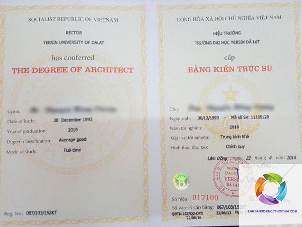 Giá trị thực tế của bằng đại học: Lợi thế cạnh tranh hay gánh nặng thời đại mới?