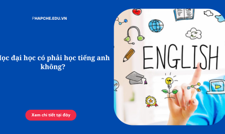 học đại học có cần tiếng anh không