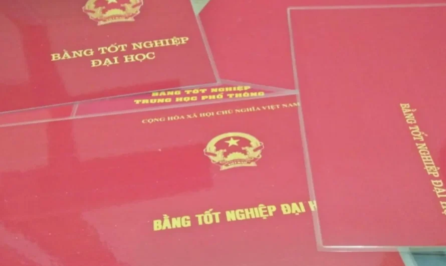 Mua bán bằng đại học có vi phạm pháp luật không? Hậu quả pháp lý và hình phạt chi tiết