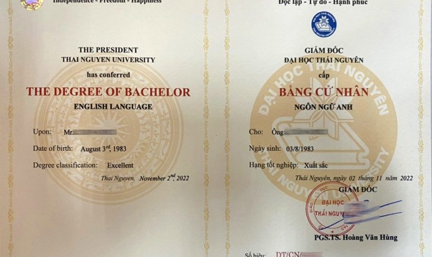 Nội dung bằng đại học: Toàn tập kiến thức từ A đến Z cho người đi làm và sinh viên