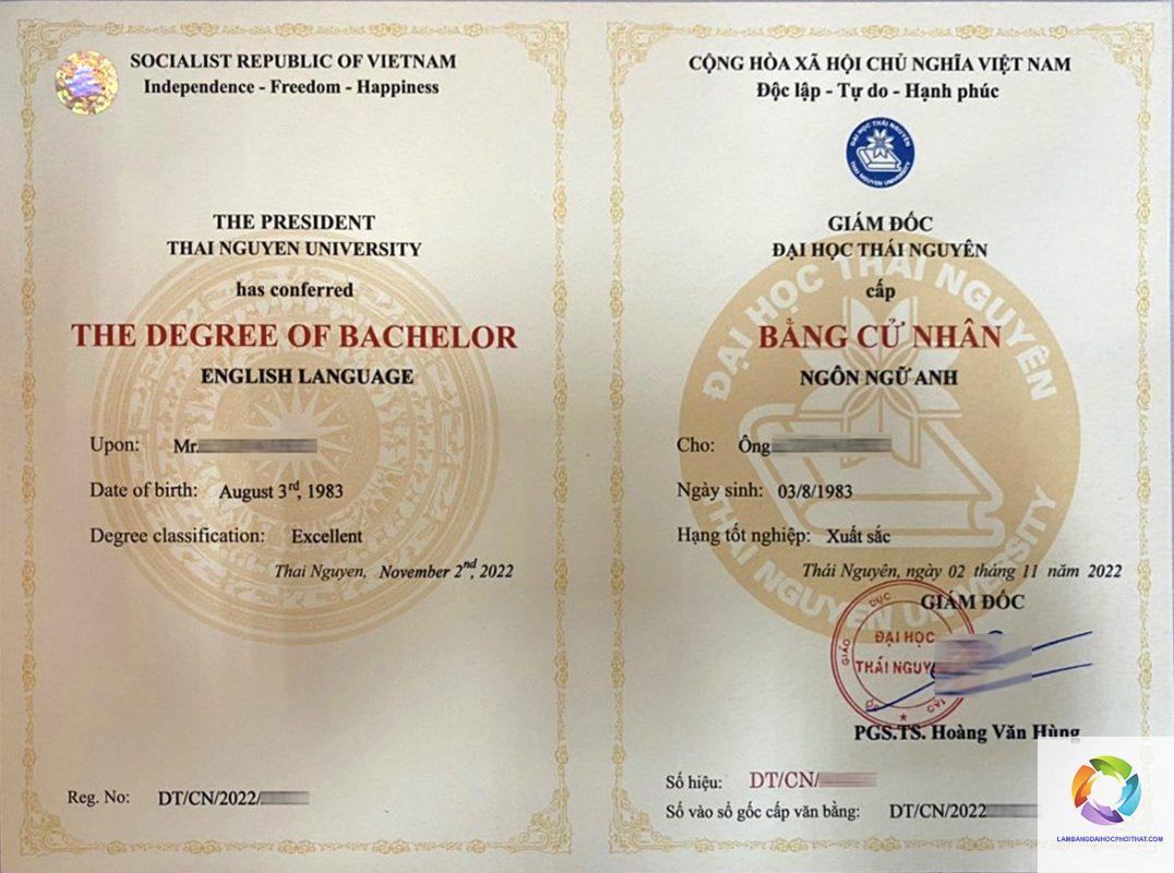 nội dung bằng đại học