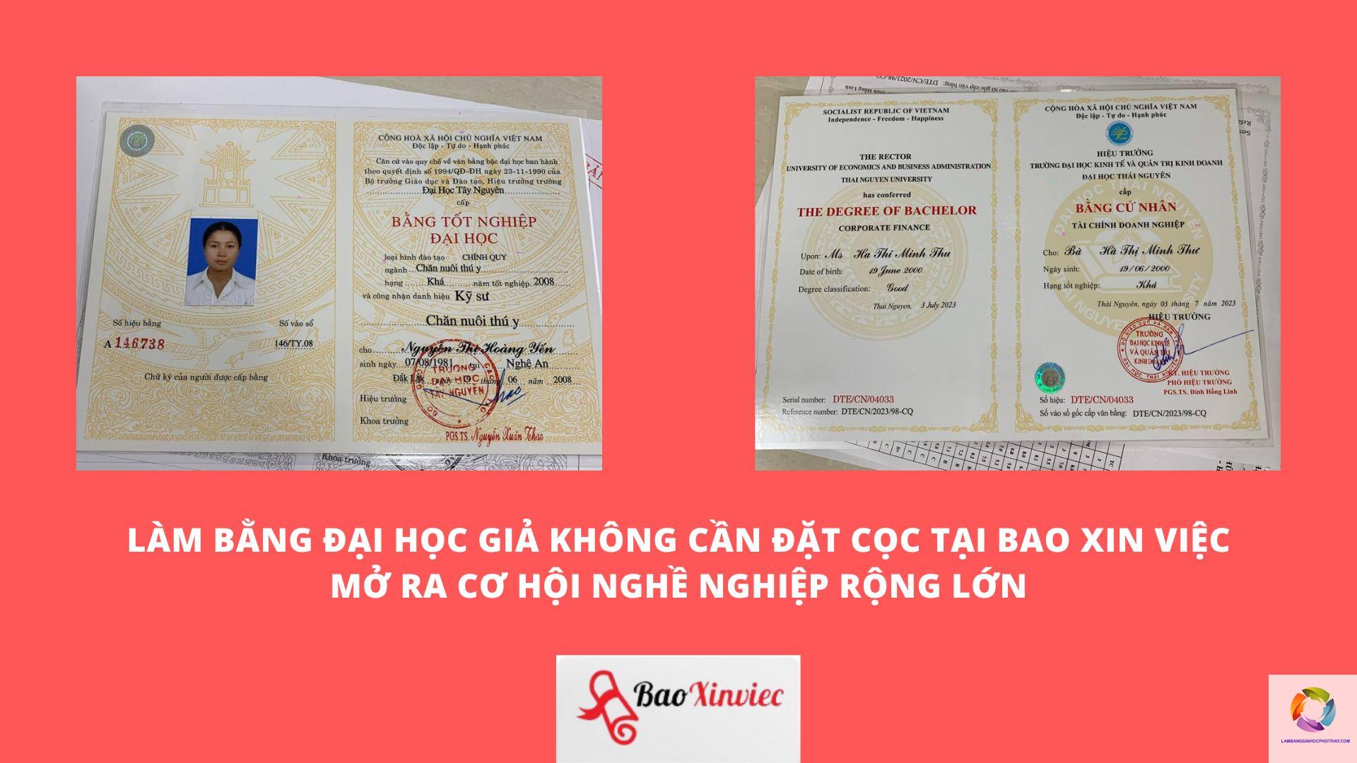 sử dụng bằng đại học giả có phạm luật không - Hình 2
