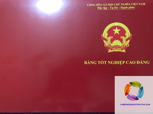 bằng cao đẳng cơ điện tử làm kỹ thuật sản xuất được không - Image 5