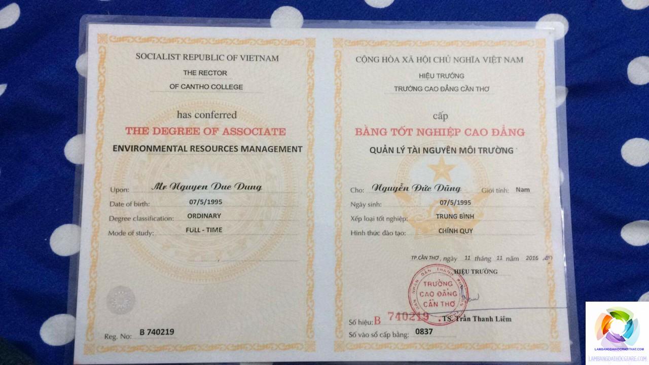 bằng cao đẳng công nghệ sinh học làm môi trường được không - Image 3