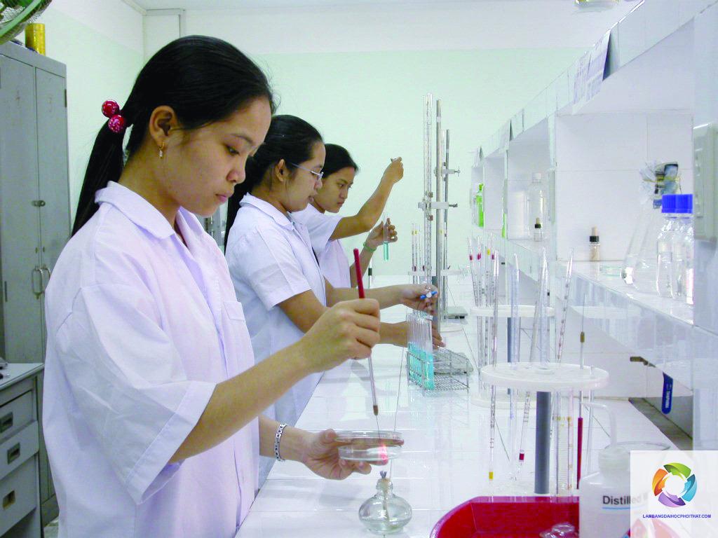 bằng cao đẳng công nghệ sinh học làm phòng thí nghiệm được không - Image 2