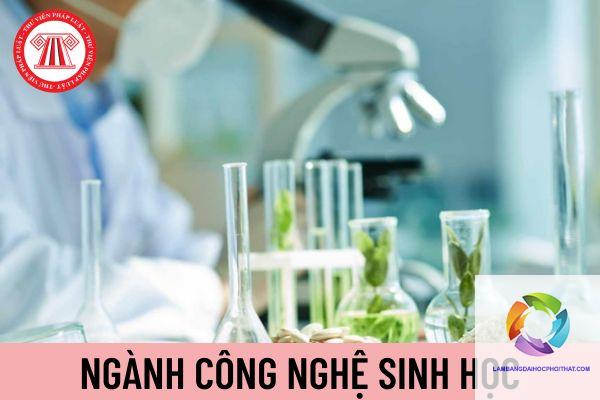 bằng cao đẳng công nghệ sinh học làm phòng thí nghiệm được không - Image 1