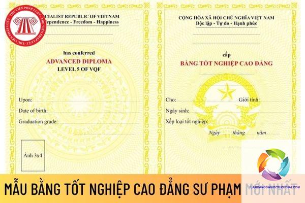 bằng cao đẳng sư phạm mầm non ra làm gì - Image 5