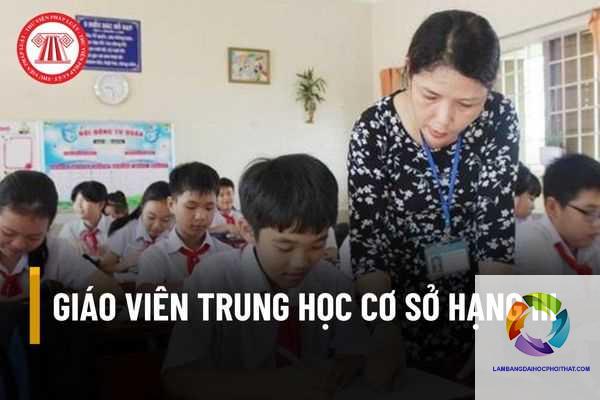 bằng cao đẳng sư phạm tiểu học có được dạy trung học không - Image 3