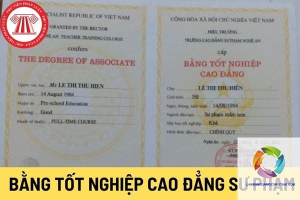 bằng cao đẳng sư phạm tiểu học dạy trường công được không - Image 2