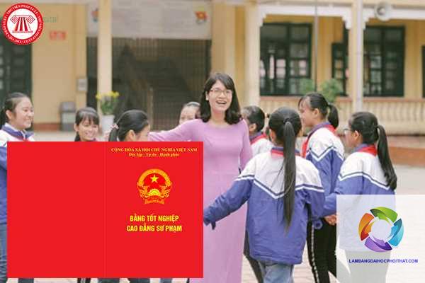 bằng cao đẳng sư phạm tiểu học dạy trường công được không - Image 4
