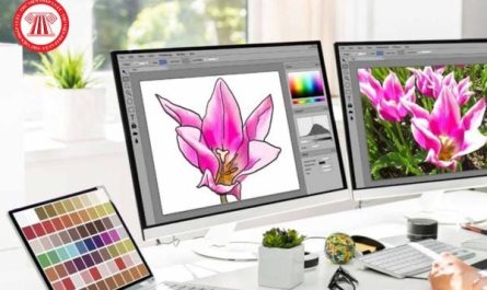 bằng cao đẳng thiết kế đồ họa là gì