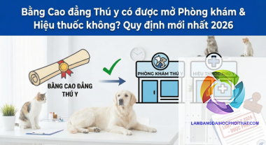 bằng cao đẳng thú y có giá trị gì - Image 3