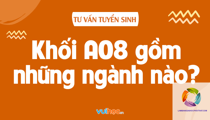 Khối A08 Gồm Những Môn Nào? Cẩm Nang Toàn Diện Từ A Đến Z Cho Thí Sinh