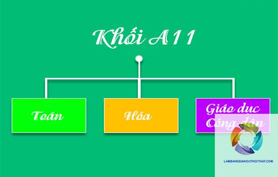 Khối A11 Gồm Những Môn Nào? Cập Nhật Mới Nhất Về Tổ Hợp Môn Và Ngành Nghề