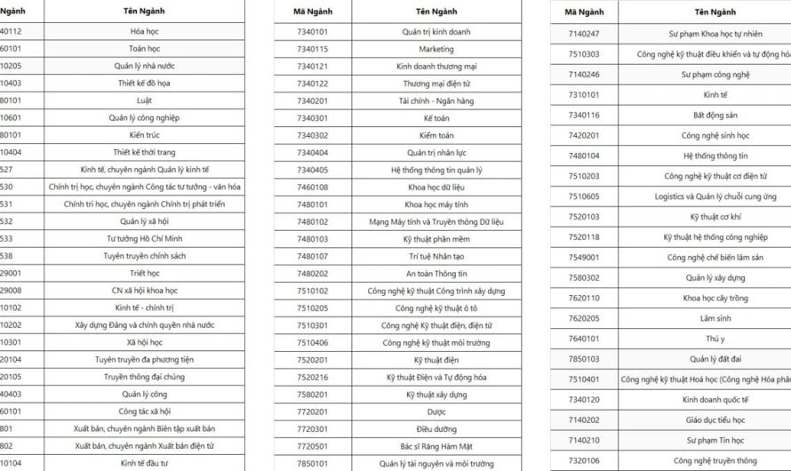 Khối A16 Gồm Những Môn Nào? Cẩm Nang Toàn Diện Từ A Đến Z Cho Thí Sinh
