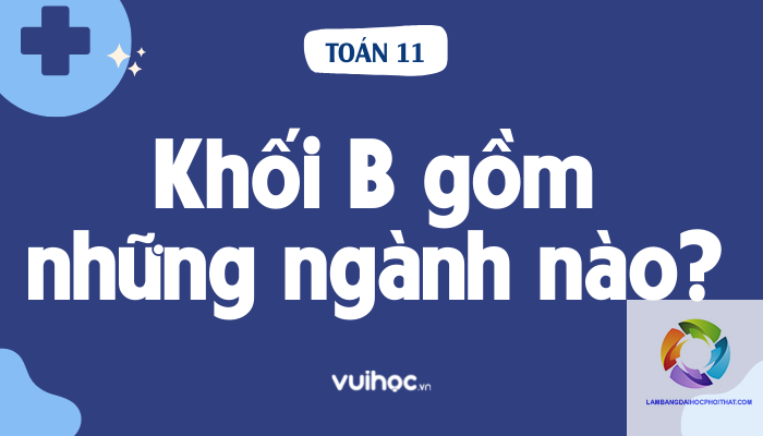 khối b gồm những môn nào - Image 3