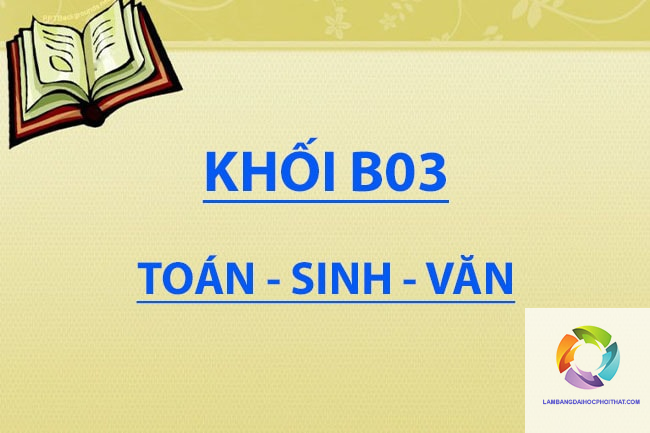 khối b03 gồm những môn nào - Image 4