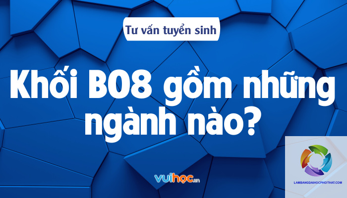 Khối B08 Gồm Những Môn Nào? Cẩm Nang Toàn Diện Từ A-Z Cho Thí Sinh