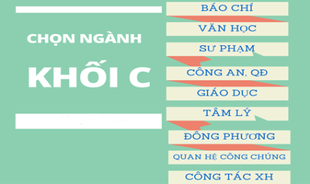 khối c00 gồm những ngành xã hội nào