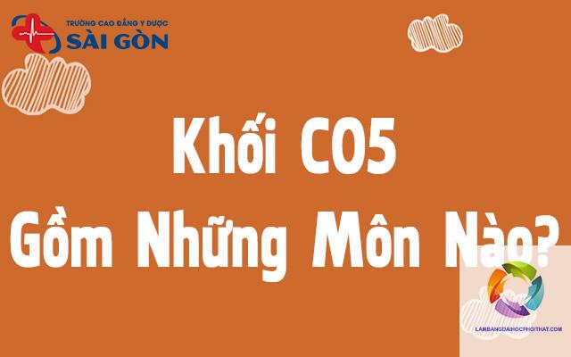 khối c05 gồm những môn nào - Image 5
