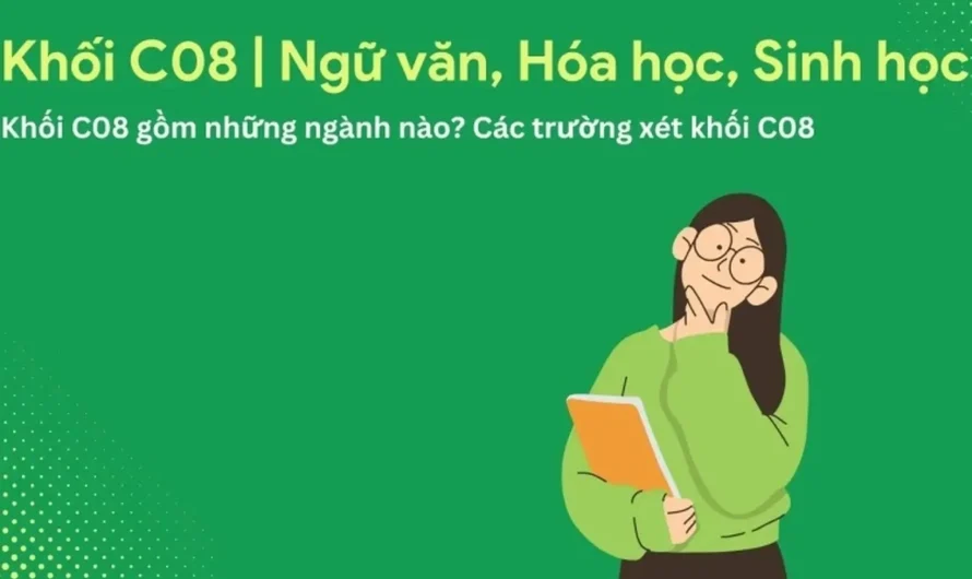 Khối C08 Gồm Những Môn Nào? Bí Quyết Chinh Phục Tổ Hợp Ngữ Văn, Lịch Sử và Giáo Dục Công Dân