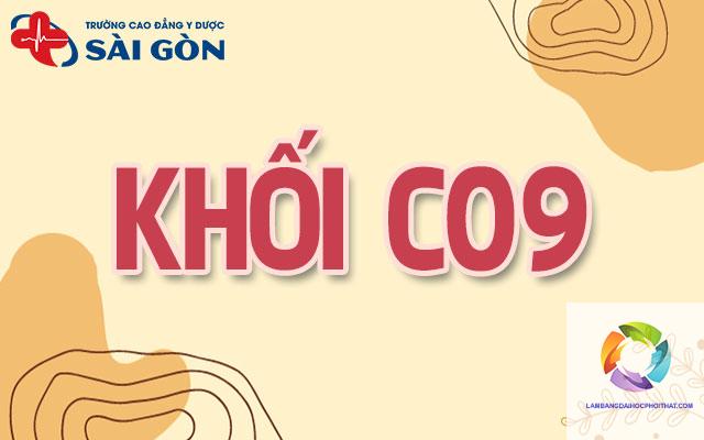 khối c09 gồm những môn nào - Image 2