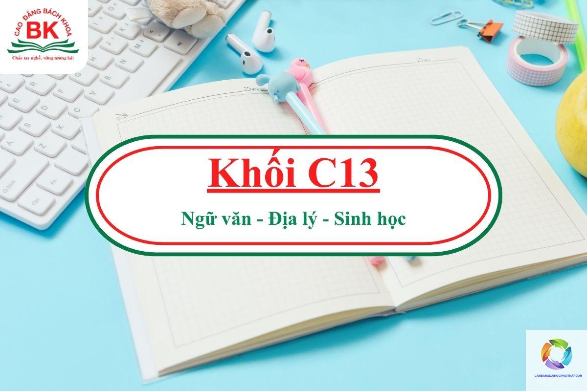 khối c13 gồm những môn nào - Image 2