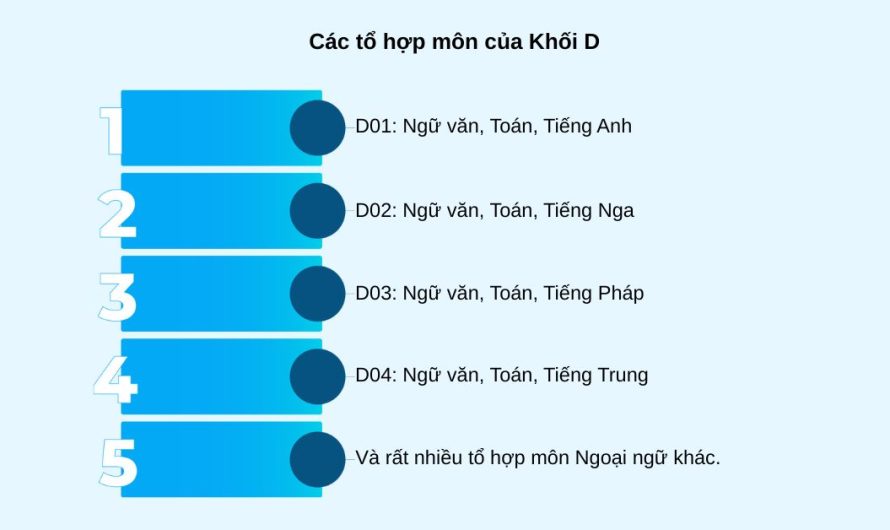 Khối D01 Có Xét Tuyển Cao Đẳng Không? Giải Đáp Chi Tiết Nhất 2025