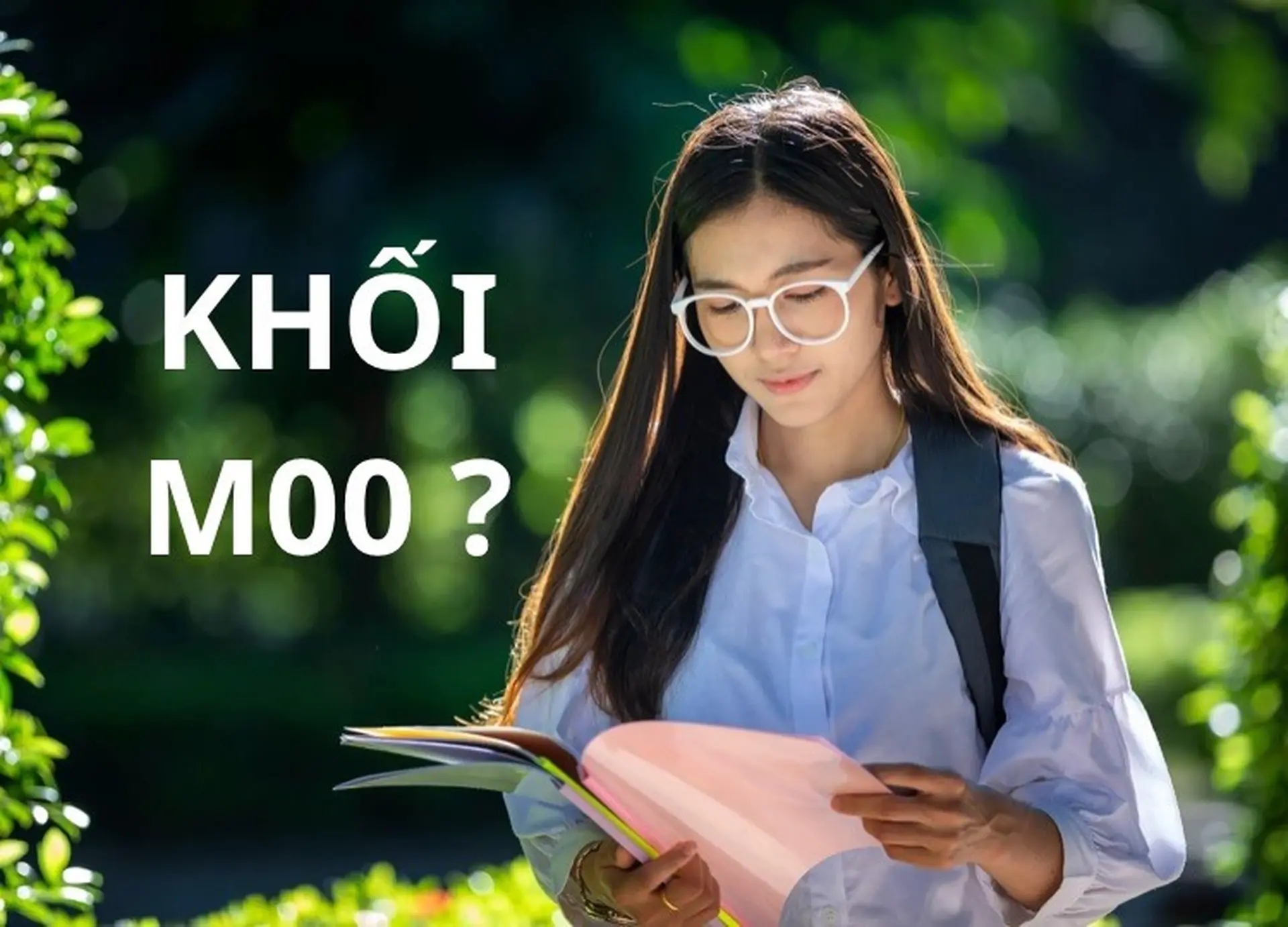 khối m00 học ngành gì - Image 2