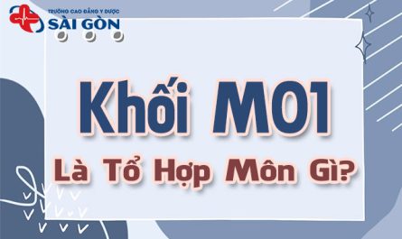 khối m01 gồm những môn nào