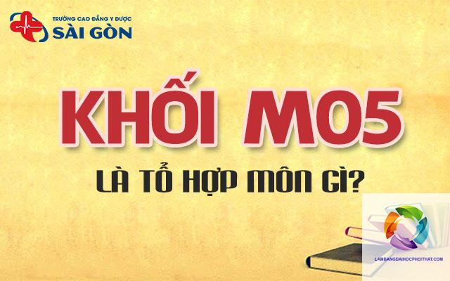 Khối M05 Gồm Những Môn Nào? Cẩm Nang Toàn Diện Từ A-Z Cho Thí Sinh