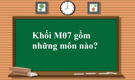 khối m07 gồm những môn nào