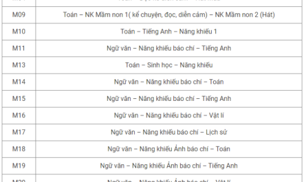 khối n gồm những môn nào