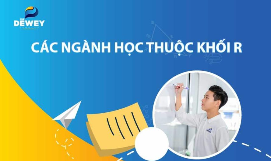 Khối R Gồm Những Môn Nào? Cẩm Nang Toàn Diện Từ A-Z Cho Thí Sinh