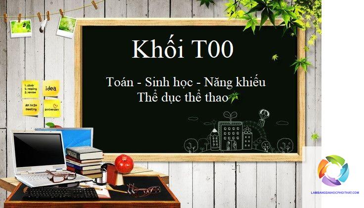 khối t00 học ngành gì - Image 4
