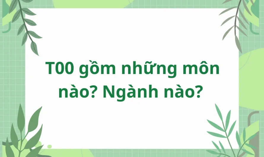 Khối T00 Xét Tuyển Ngành Nào? Cẩm Nang Chọn Ngành Và Trường Đại Học Chi Tiết Nhất 2025